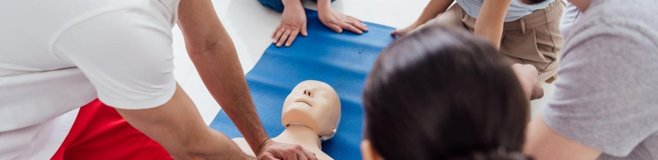 Professionnels de santé en formation